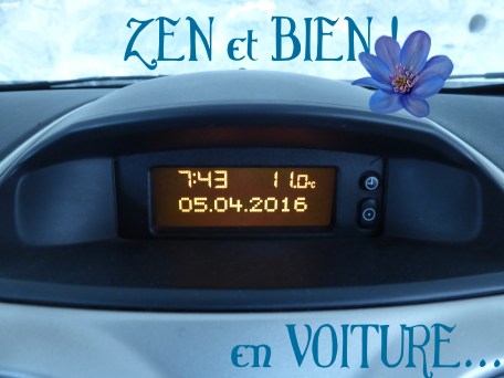 zen et bien voiture.jpg