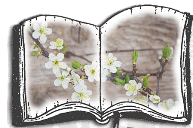 cherry-blossoms-1389798_960_720.png