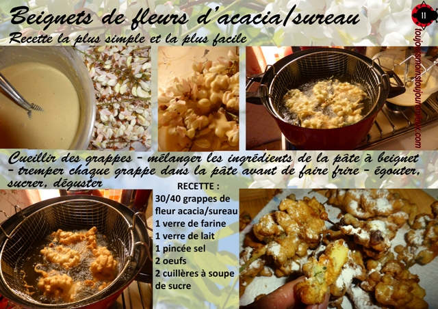 beignet acacia recette sureau