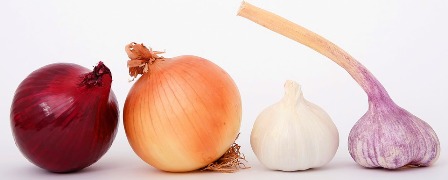 bulb-1239423_960_720