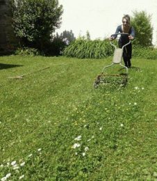 tondre en s'amusant sans bruit