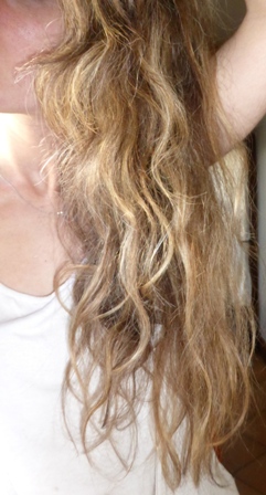 crème le petit olivier 2eme jour.JPG