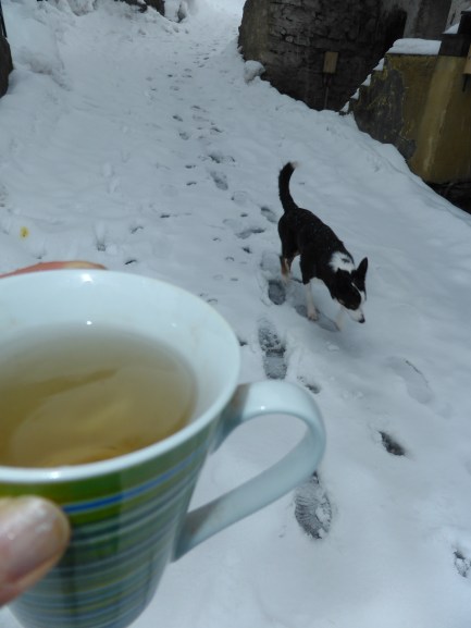 promener son chien hiver.JPG