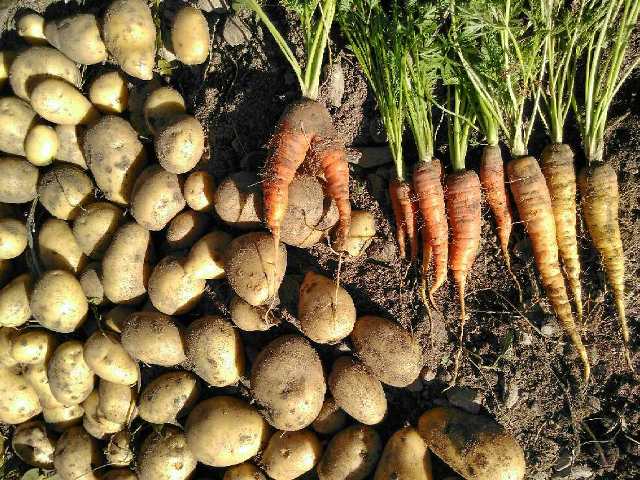 1507638456377_PART_1507638456309