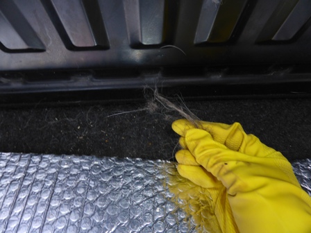 enlever poils gant voiture.JPG