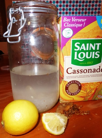 recette de kéfir de fruit classique.JPG