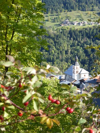 baie églantier village.JPG