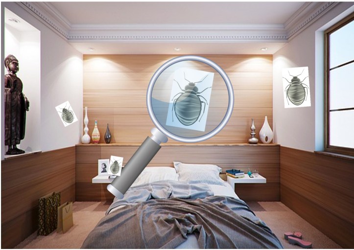 UNE-punaises lit loupe toujoursmoinstoujoursmieux.com